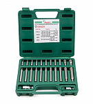 Комплект бит 24 штуки в кейсе Hans 06424